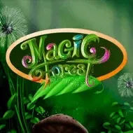 Magic ForestCaleta game thumbnail